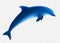 Blue dolphin jumps. Vector illustration. Jumping dolphin play