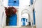 Blue doors, window and white wall of building in Sidi Bou Said