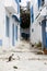 Blue doors, window and white wall of building in Sidi Bou Said