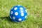 Blue dotted ball on green grass