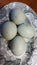 Blue duck eggs fresh from nest