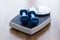 Blue dumbbells on top of weight scale on wooden background in the gym.