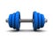 Blue dumbell