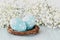 Blue easter eggs and gipsophila flowers. Easter background