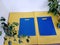 Blue eco friendly bags isolated on table with green plan leaf.