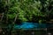Blue or emerald pool in National park Sa Morakot, Krabi, Thailand