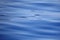 Blue empty sea surface or ocean with waves for a background