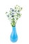 Blue eryngo flower in blue ceramic vase isolated on white background