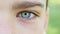 The blue eye of a boy closeup