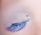 Blue eye fashion makeup winter feather