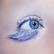 Blue eye macro closeup winter makeup