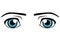 Blue eyes with black eyebrow graphic illustration