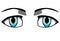 Blue eyes with black eyebrow graphic illustration