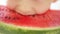 Blue eyes boy eats juicy red watermelon