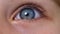 Blue eyes of a school-age girl in close-up. The child's eyelid is blinking. The eyeball. Human pupil. The beautiful