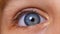 Blue eyes of a school-age girl in close-up. A child& x27;s eyelid. The eyeball. The pupil of a person. A beautiful blue