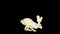 Blue eyes stylized rabbit running on Easter concept, loop, Luma Matte