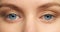 Blue eyes woman, focus and vision in eye care sight, eyelid blink with detail pupil and iris. Portrait closeup of a