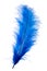 Blue feather