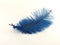 Blue feather