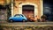 A blue Fiat 500 and an orange Vespa on street in Rome