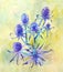 Blue field eryngium. Watercolor illustration suitable for vintage herbal design