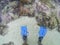 Blue fins and coral reef underwater, top view photo. Diver standing in sea water. Diving or snorkeling banner template.