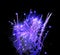 Blue fireworks display black night sky background isolated closeup, blue firecracker burst pattern purple salute explosion texture