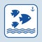 Blue fish icon. Three fishes swimming in the sea or ocean. Sign anchor. Vector illustration