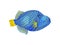 Blue fish with thin yellow stripes. Vector illustration on white background.