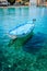 Blue fishing boat in the emerald azure rippled sea water bay in Assos village, Kefalonia island, Greece