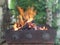 Blue flame on a rusty barbecue on a background of green leaves