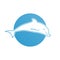 Blue flat logo dolphin for company and business.