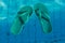 blue flip-flops floating in a swimming pool, a top view