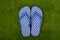 Blue flip flops in polka dots on the grass meadow