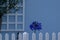 Blue flower growing in little front garden with white fence, light blue house wall and white crate in background