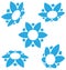 Blue flower icons