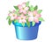 Blue flowerpot with pink flowers vector drawing. Beautiful, lush flowers and green leaves in a blue flower pot. Outline. Gardenin