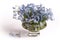 Blue flowers Myosotis, bouquet