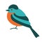 Blue flycatcher bird, vector illustratio, flat style, side