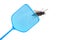 Blue flyswatter is hunting a dark giant horsefly, isolated on a