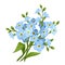 Blue forget-me-not flowers. Vector illustration.