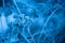 Blue frosty leaves background - Abstract