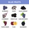 Blue fruits collection info graphic, food vector illustration