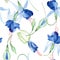 Blue fuchsia. Floral botanical flower. Watercolour drawing fashion aquarelle isolated. Seamless background pattern.