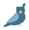 Blue funny canary serinus canaria cute domestic finch nature and wildlife bird flat vector.