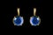 Blue gems earrings isolated