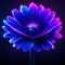 Blue gerbera flower on a dark background. 3d rendering Generative AI