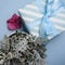 Blue gift box, hydrangea inflorescence and cineraria