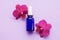 Blue glass bottle filled by essence or serum with orchid extract on purple background with bright blossoming orchids phalaenopsis.